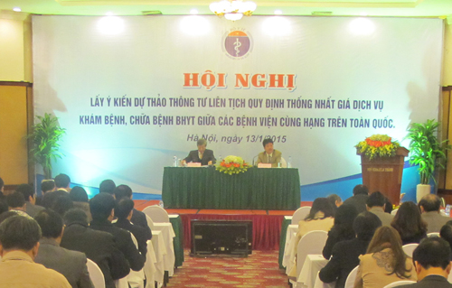 Hoi Thao 130115.JPG